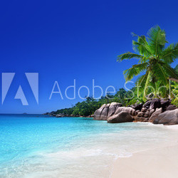 beach at Praslin island, Seychelles