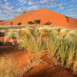 Desert landscape, Sossusvlei