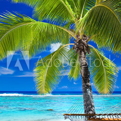 Empty hammock under palm tree on the beach