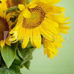 Sunflowers bouquet
