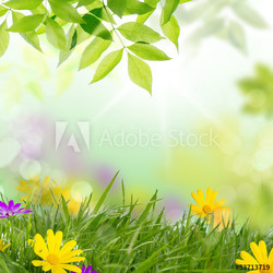 frühling