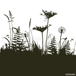 collection for designers, plant vector