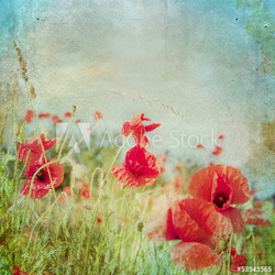 Vintage shabby chic background with red poppy