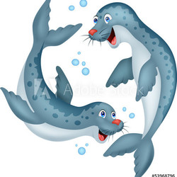 Seal cartoon