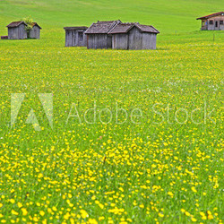 Wiese_Heustadel_Bayern