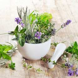 Fresh herbs