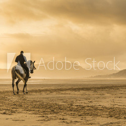 Horse riding on beach