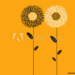 Abstract flowers