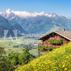 Traditional mountain farm in the Alps
