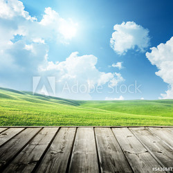 Green field and wood floor