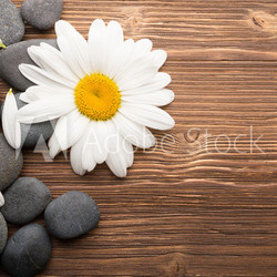 Spa stones.
