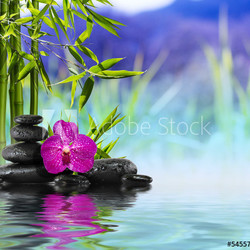 Purple Orchid, Stones and Bamboo on the water