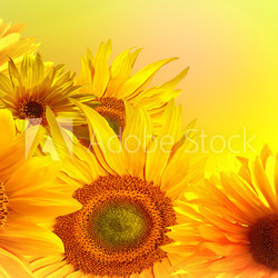 A bouquet of sunflowers