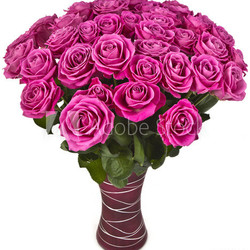 bouquet of pink roses  in vase on white background