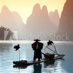 YANGSHUO - JUNE 18: Chinese man fishing with cormorants birds in