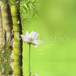décor asiatique relaxant