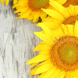 Sunflowers on wooden background