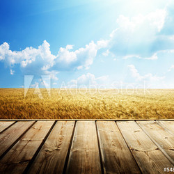 wooden floor and summer wheat field