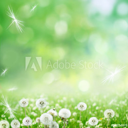 spring background