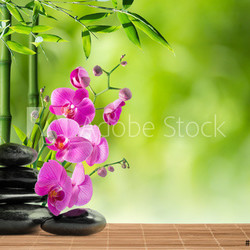 purple orchid, black stone and bamboo