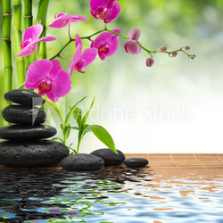 composition bamboo-purple orchid-black stones