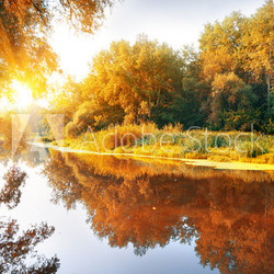 River in a delightful autumn forest