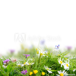 natur