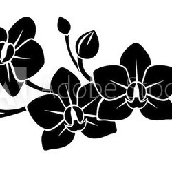 Black silhouette of orchid flowers. Vector illustration.