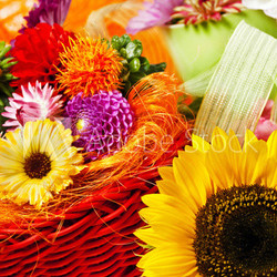 Blumen - Dekoration