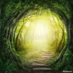 Road in dark forest