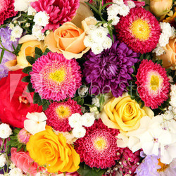 Bright flowers background