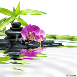 purple orchids with bamboo tower black stones on water