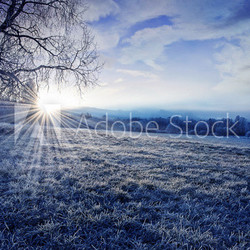 winter morning with sunrise