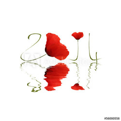 2014
