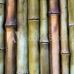 Bamboo background. Horizontal image.