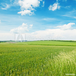 field and blue cloudy sky