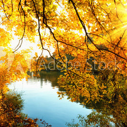 Herbstsonne am Fluss