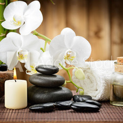 spa concept