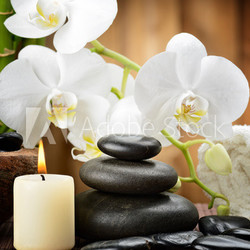 spa concept