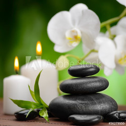 spa concept