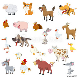 Farm animals set