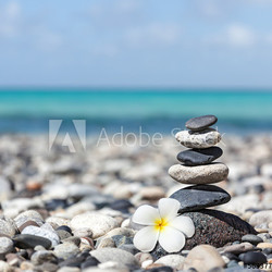 Zen balanced stones stack with plumeria flower
