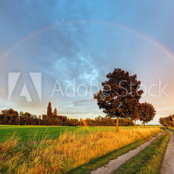 Rainbow over field road