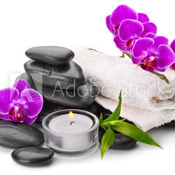 orchid
