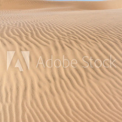 Sand dune of desert