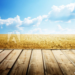 wooden floor and summer wheat field