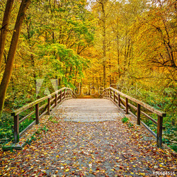 Bridge in autumn park