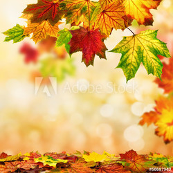 Herbst Hintergrund umrahmt mit buntem Laub