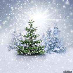 Weihnachtsbaum im Winterwald