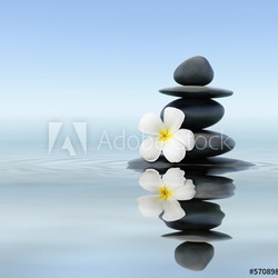 Zen stones with frangipani